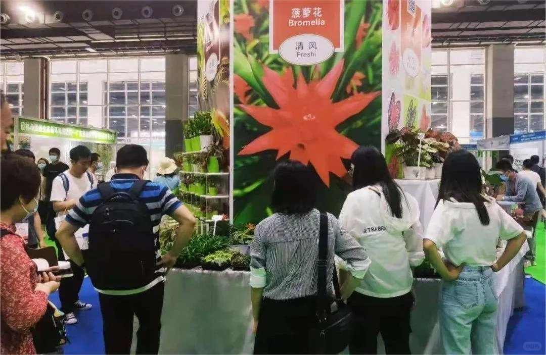 2026中国绿植盆景展5月相聚广州