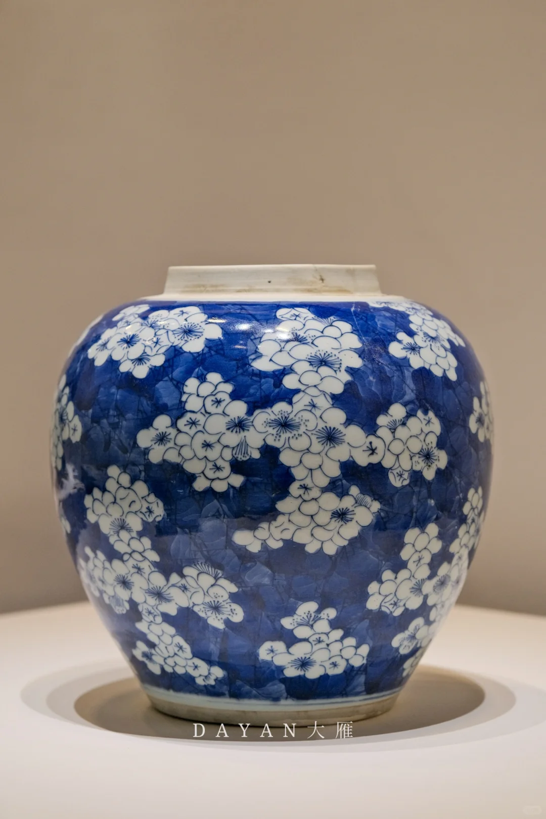西安博物院新展碗礁瓷语 展期到20260407