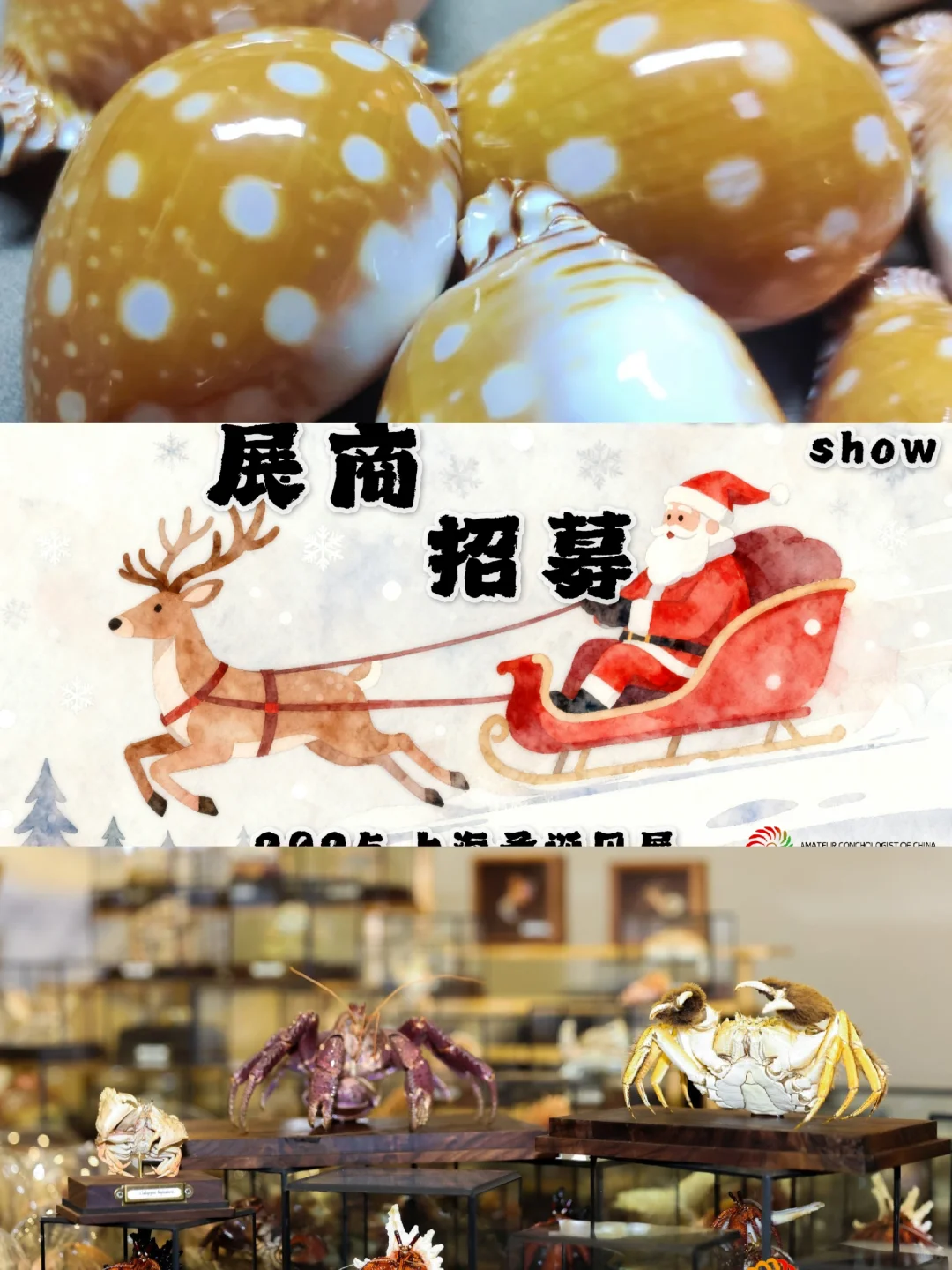 2025上海圣诞贝展正式开启展商招募