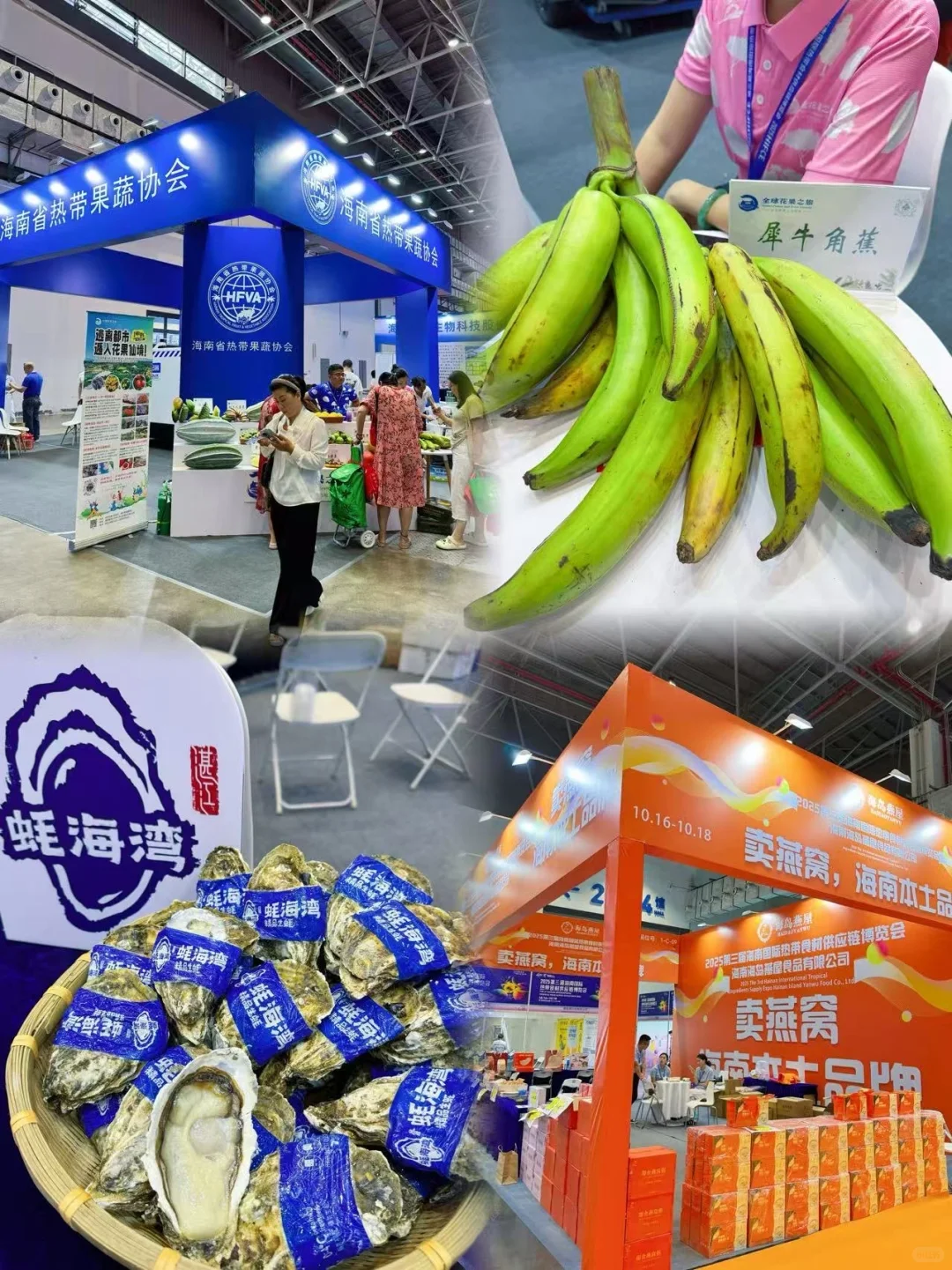 海口这场国际美食博览会你一定要赶紧来！！