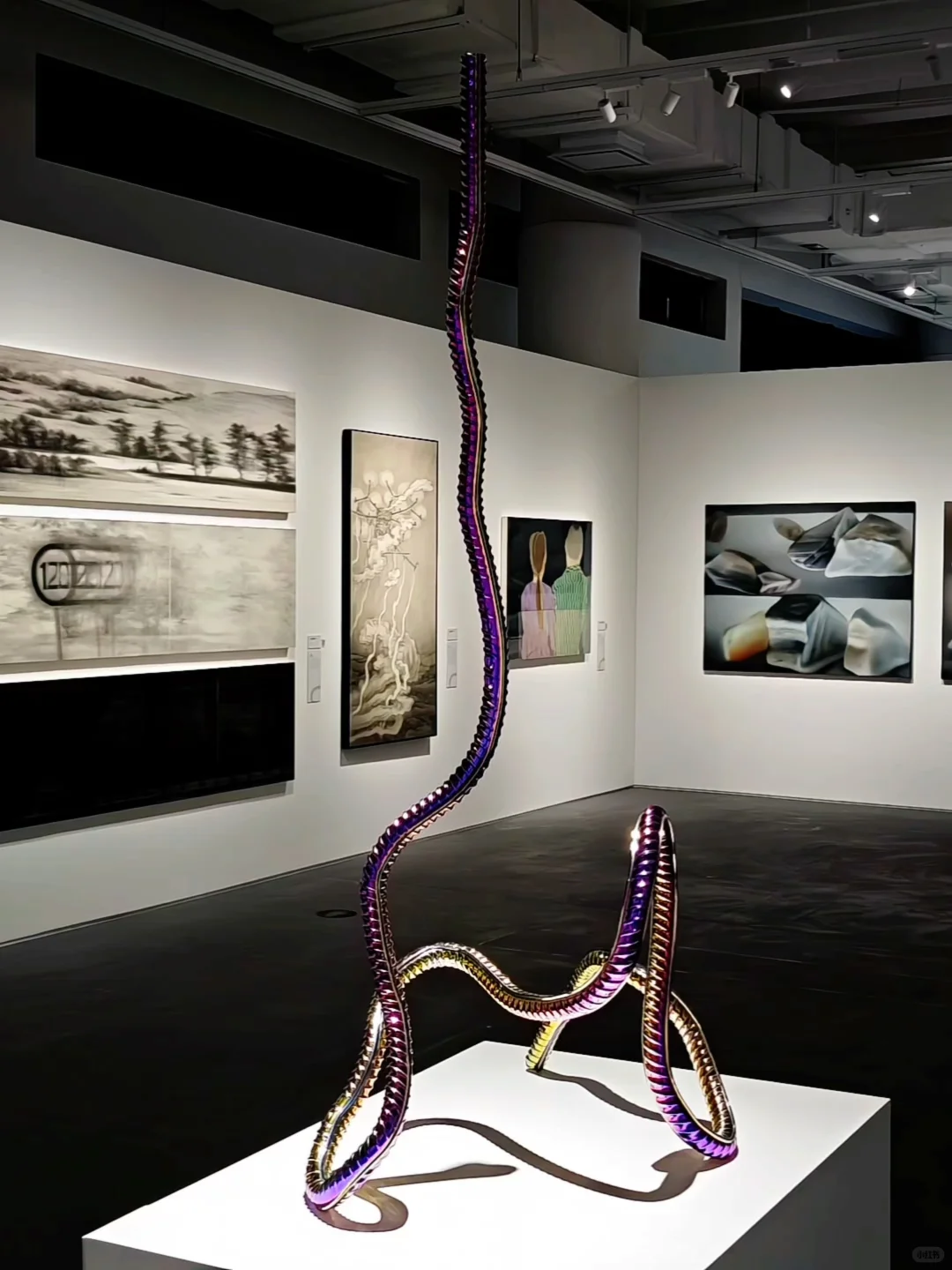 除了震惊还是震惊❗上海近期遇见坠大免费展