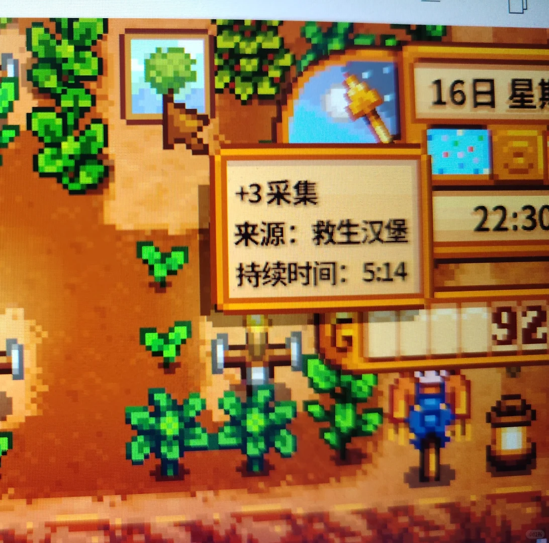 老乡,秋季展览会又来啦~