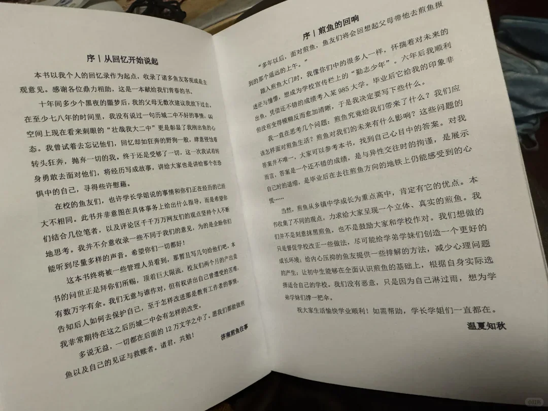 《济南煎鱼往事》简介