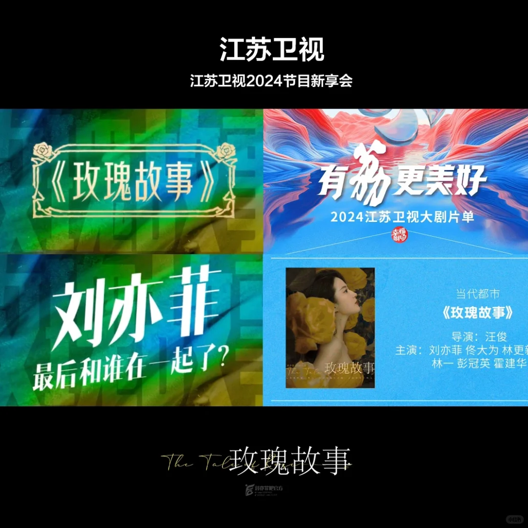 玫瑰故事登央视、浙江、江苏、北京等招商会