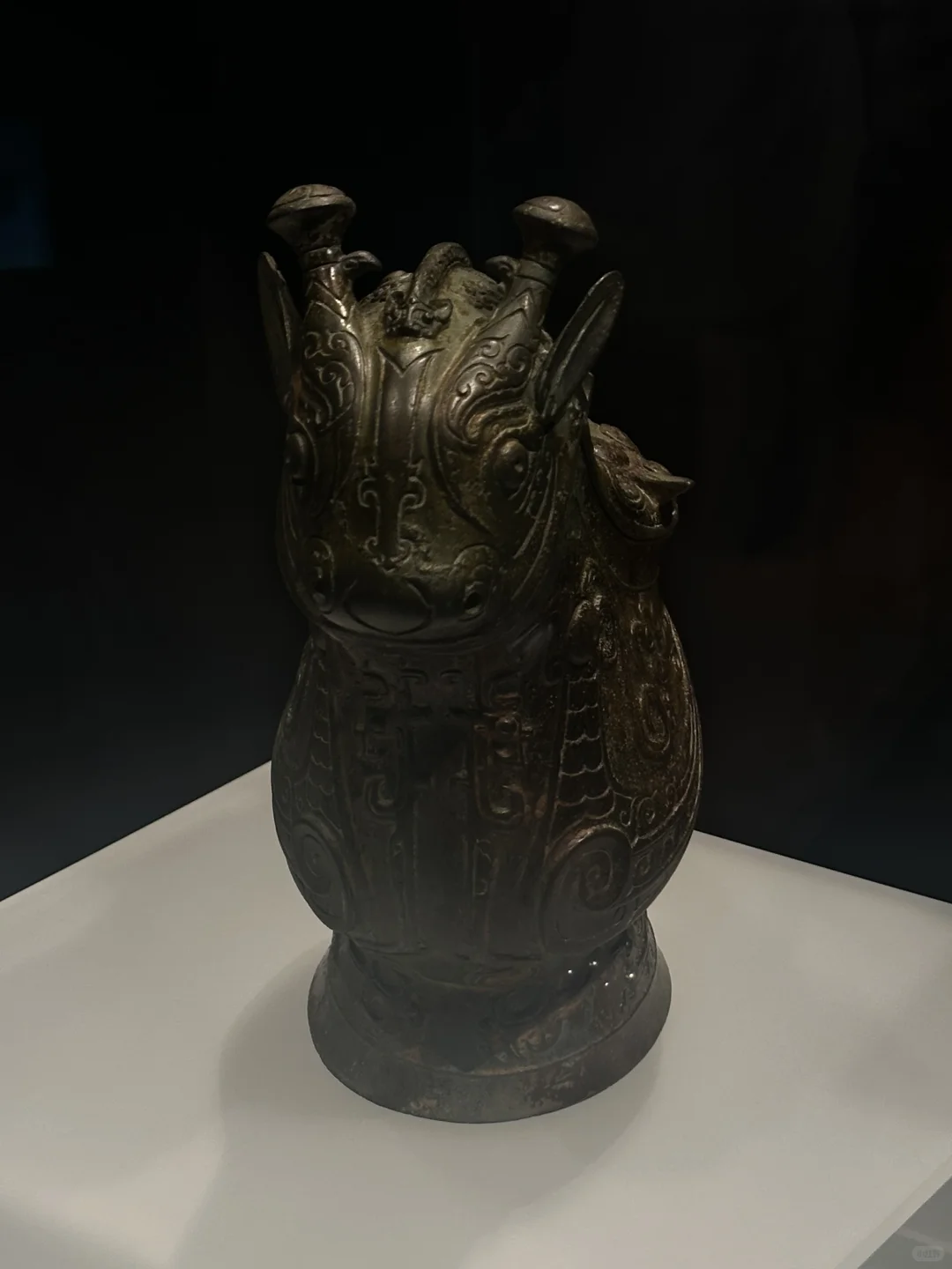 不愧是你上博