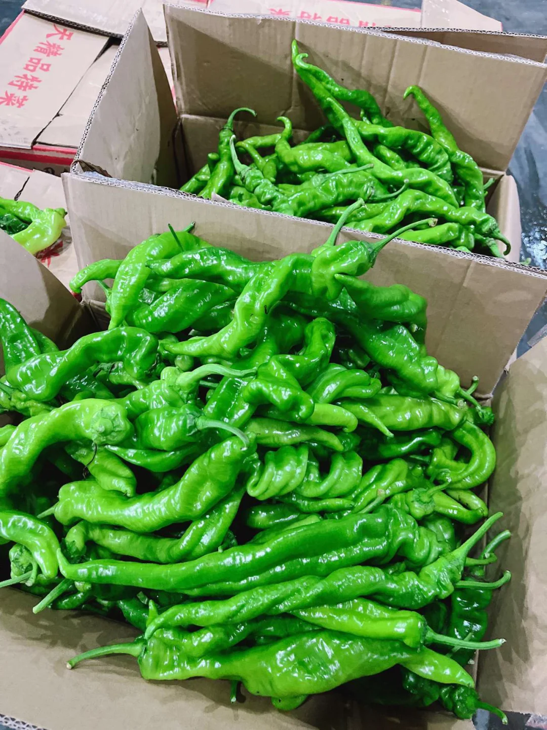 全品类食材供应平台!一站式采购超便捷!