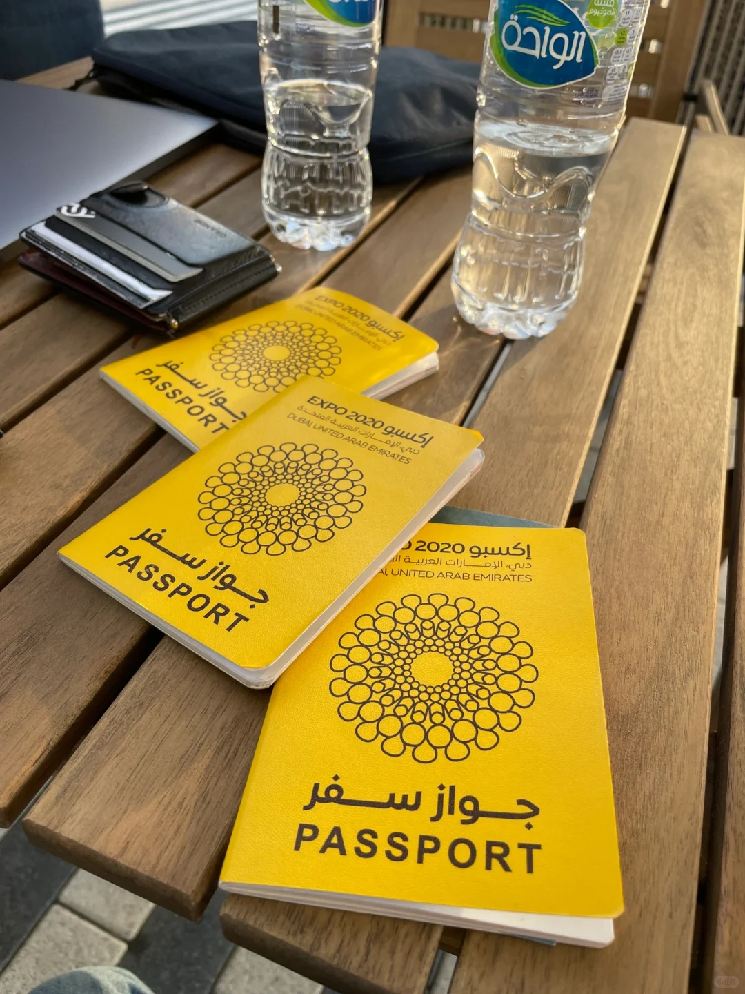 我的迪拜2020世博会之旅!?✨