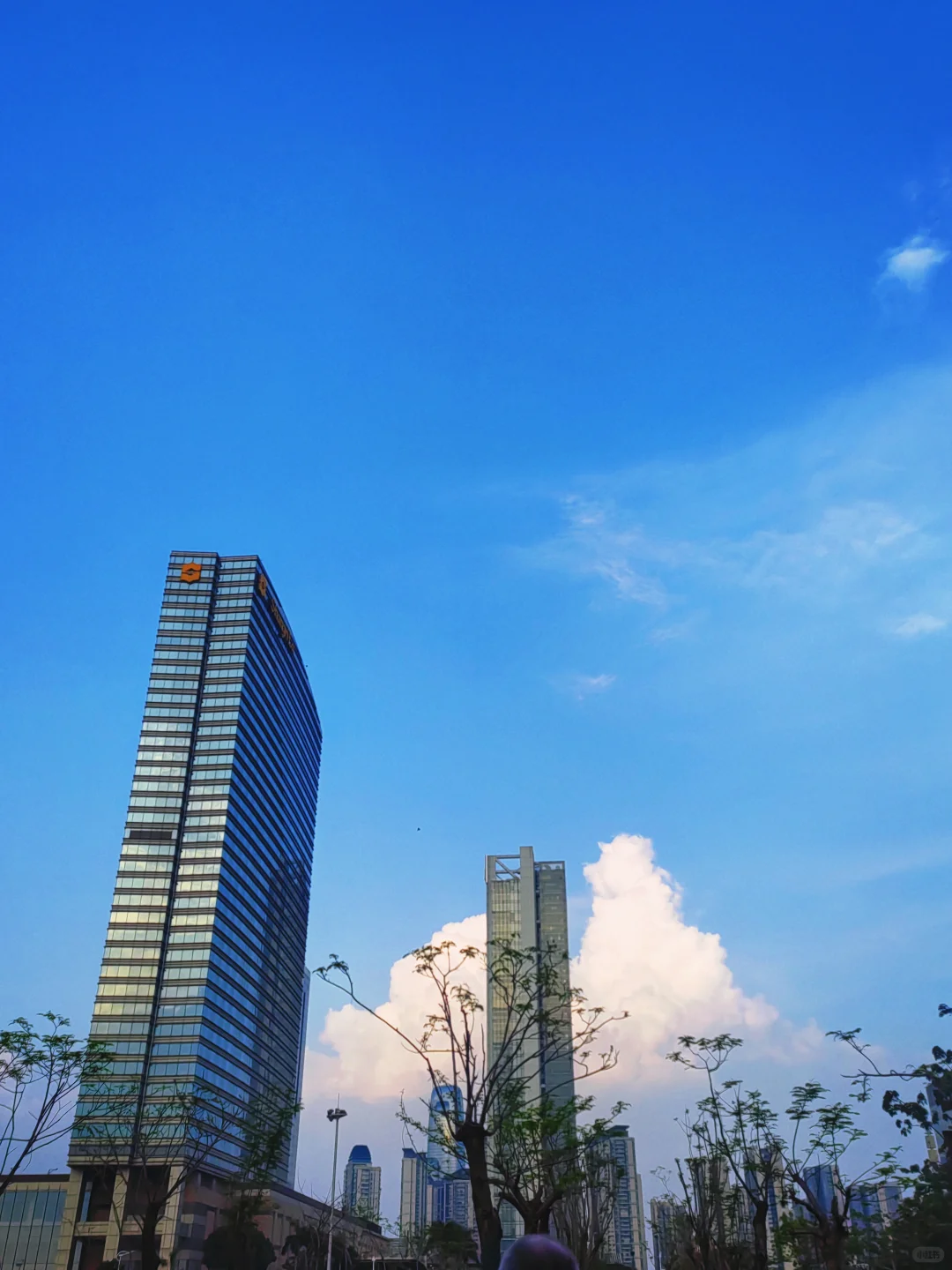 ?广交会翻译来袭!英专外贸速学