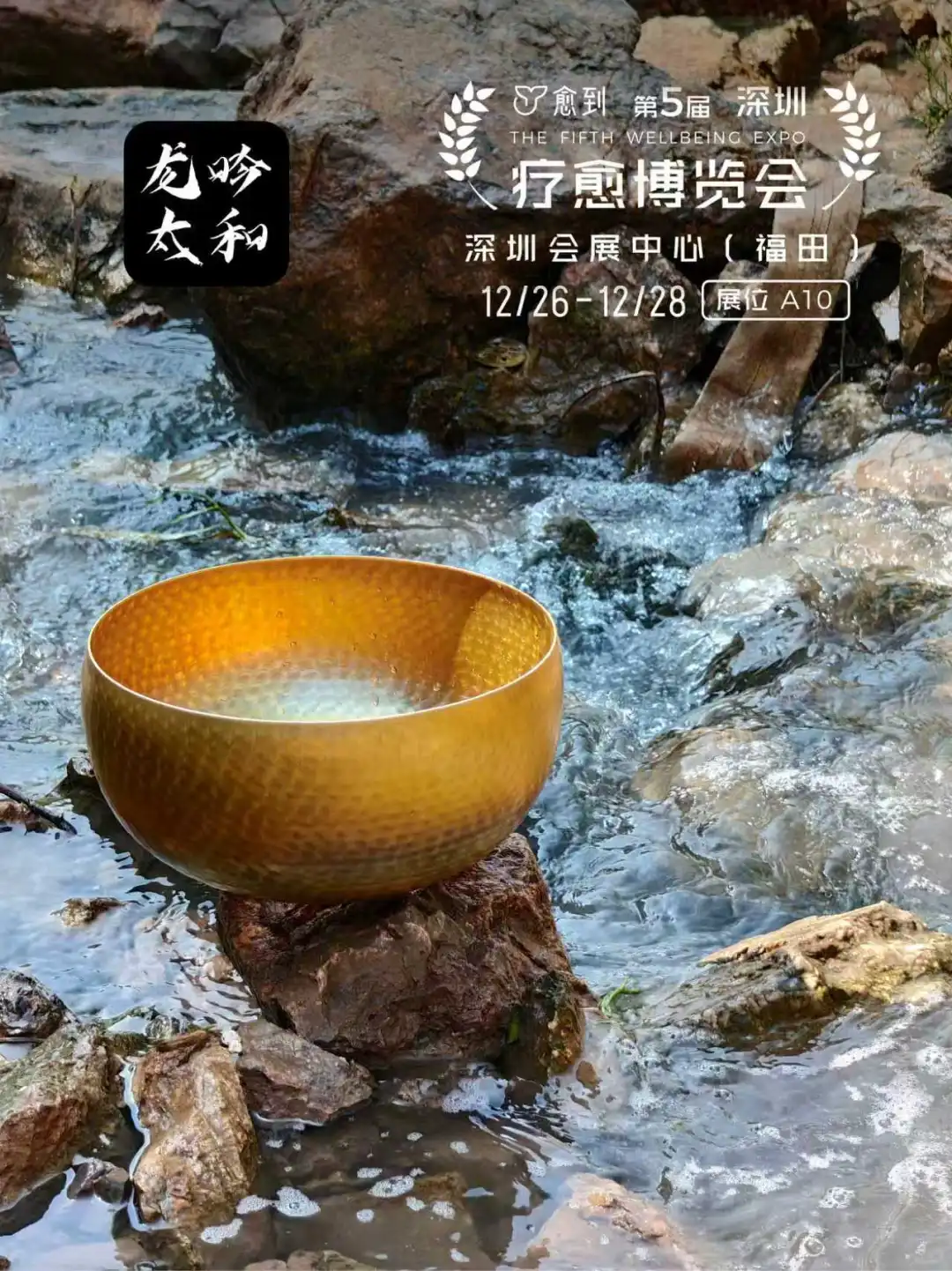 龙吟太和:全球疗愈经济引领者