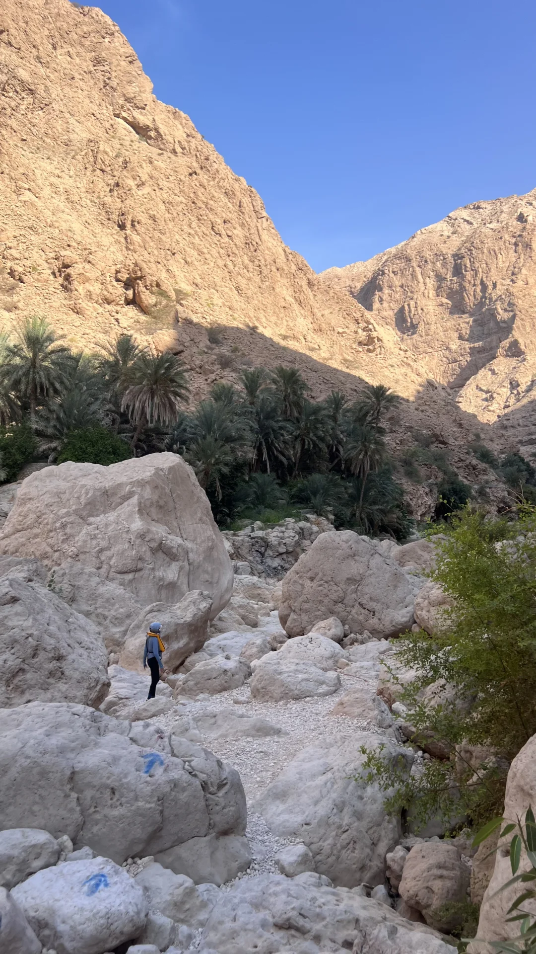 阿曼??|旅游体验值惊艳的免签国