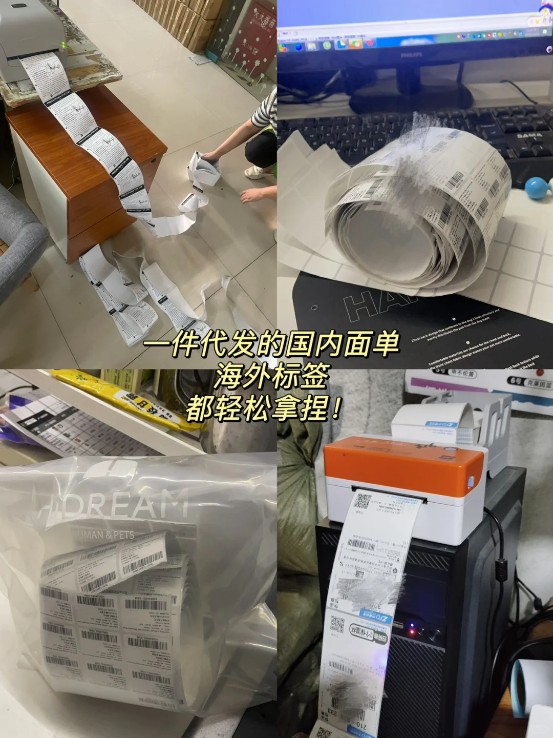 在宠物经济赛道数十年的工厂想说点真心话