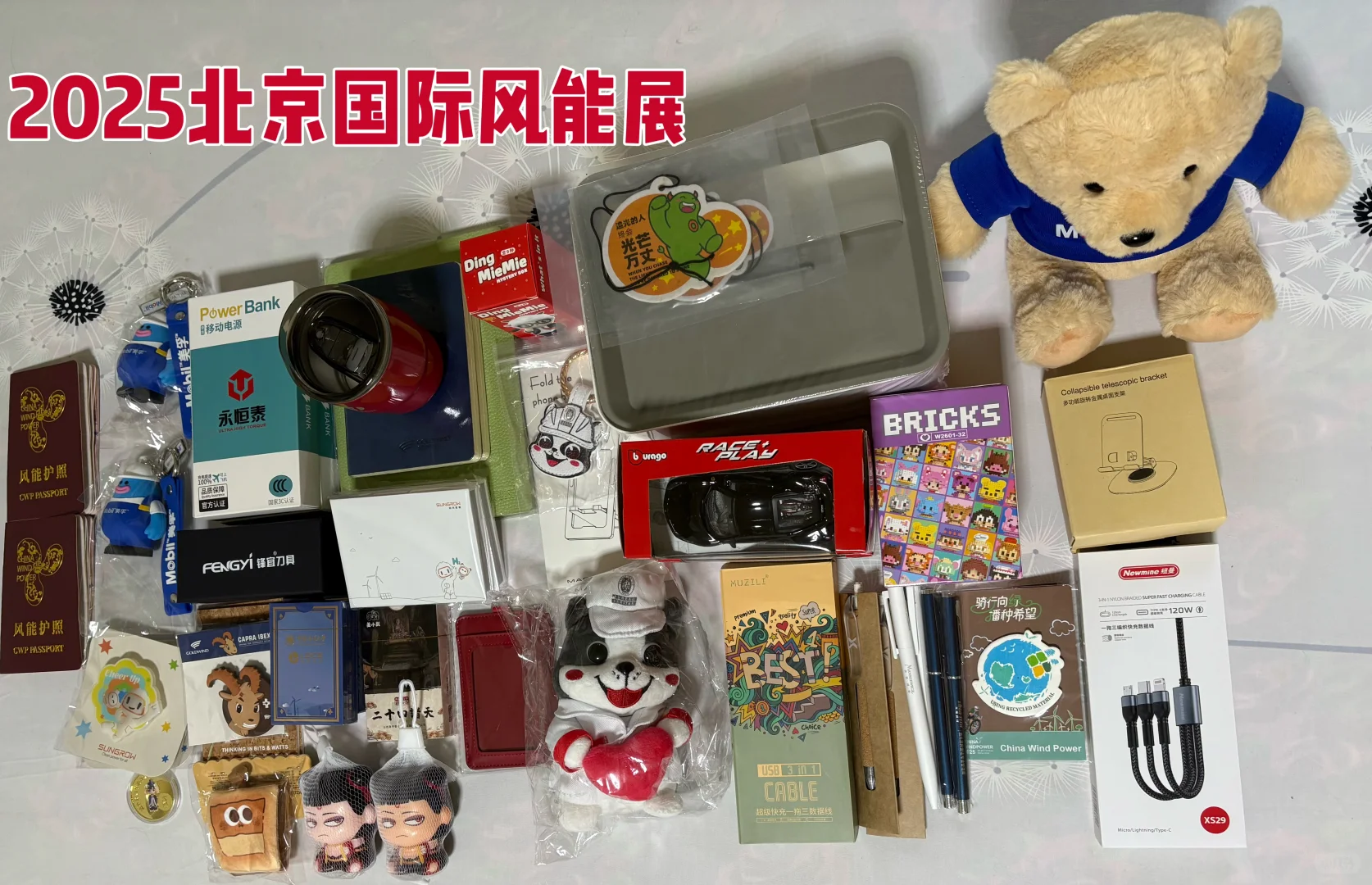2025北京国际风能展?毛