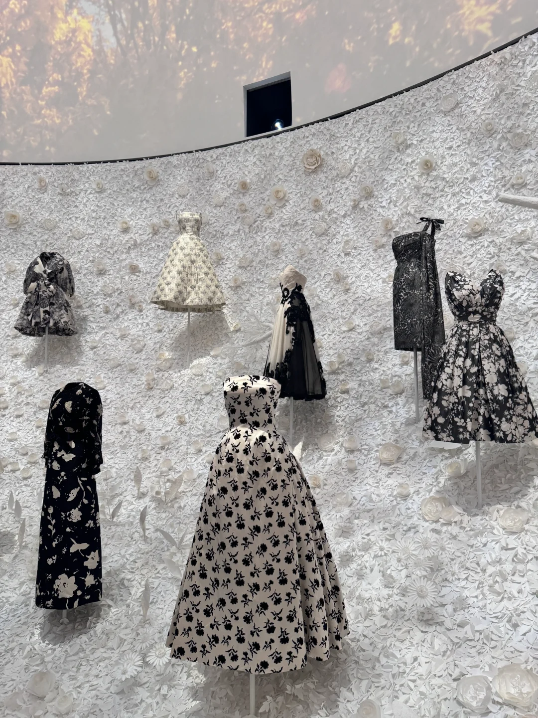 地陪日记｜来首尔必看的迪奥服装展！