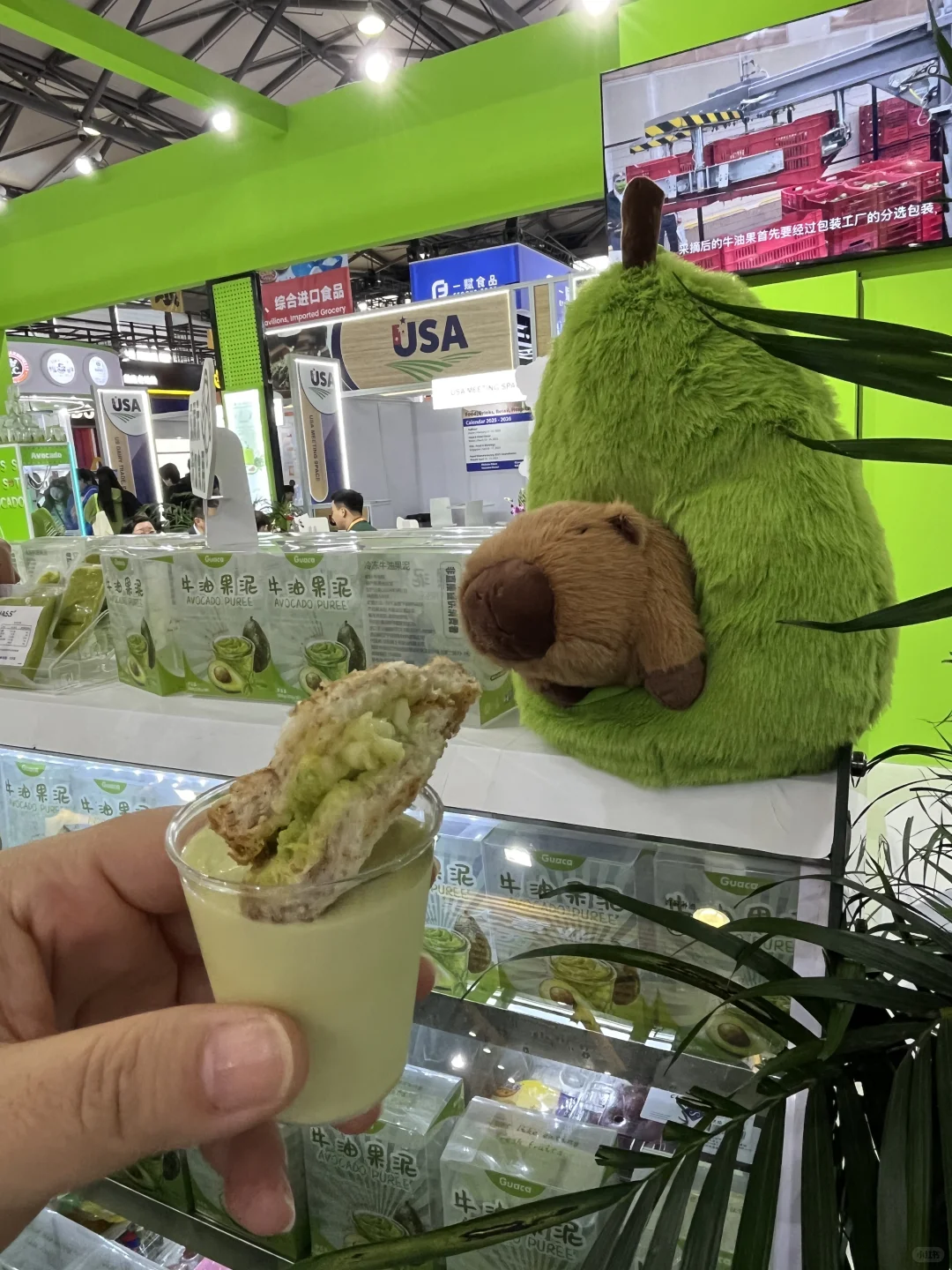 食品展蹭蹭蹭(续)