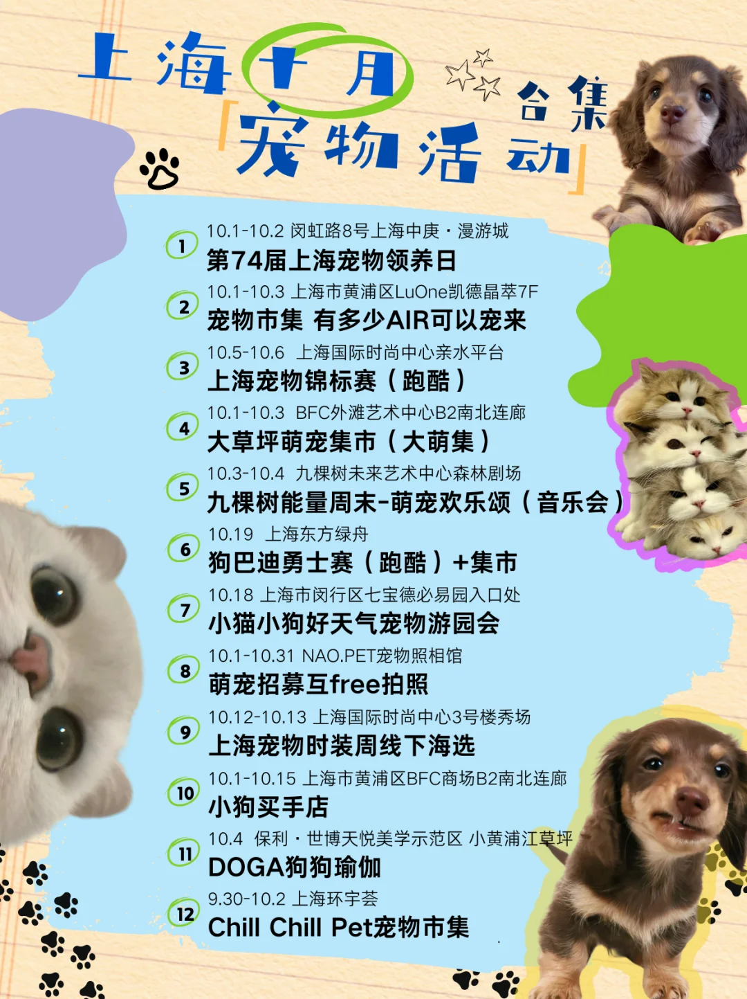 ?上海十月｜宠物主题活动合集??