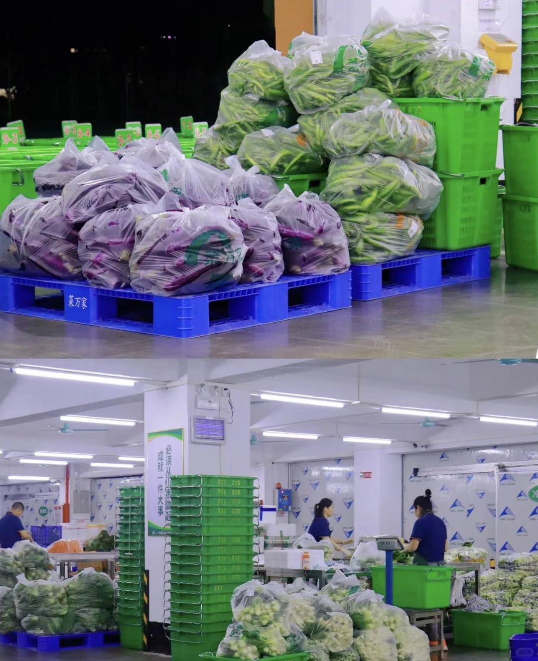 ?专业食材源头供应一站式采购配送