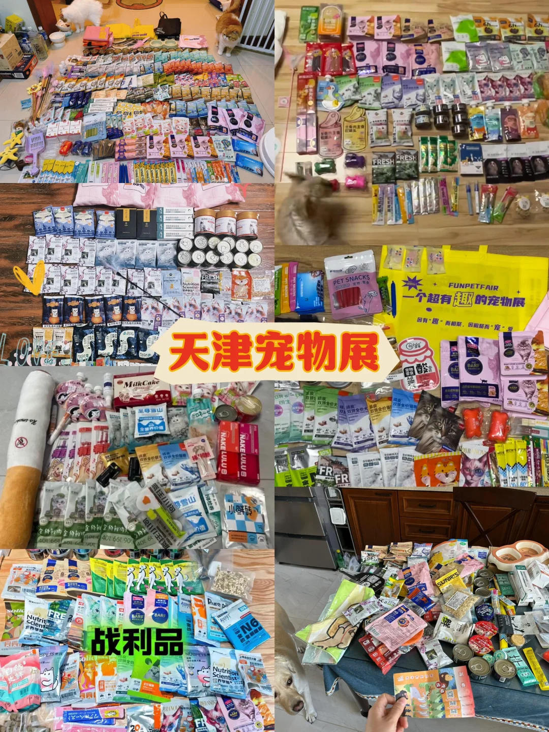 天津宠物展又要来袭‼️