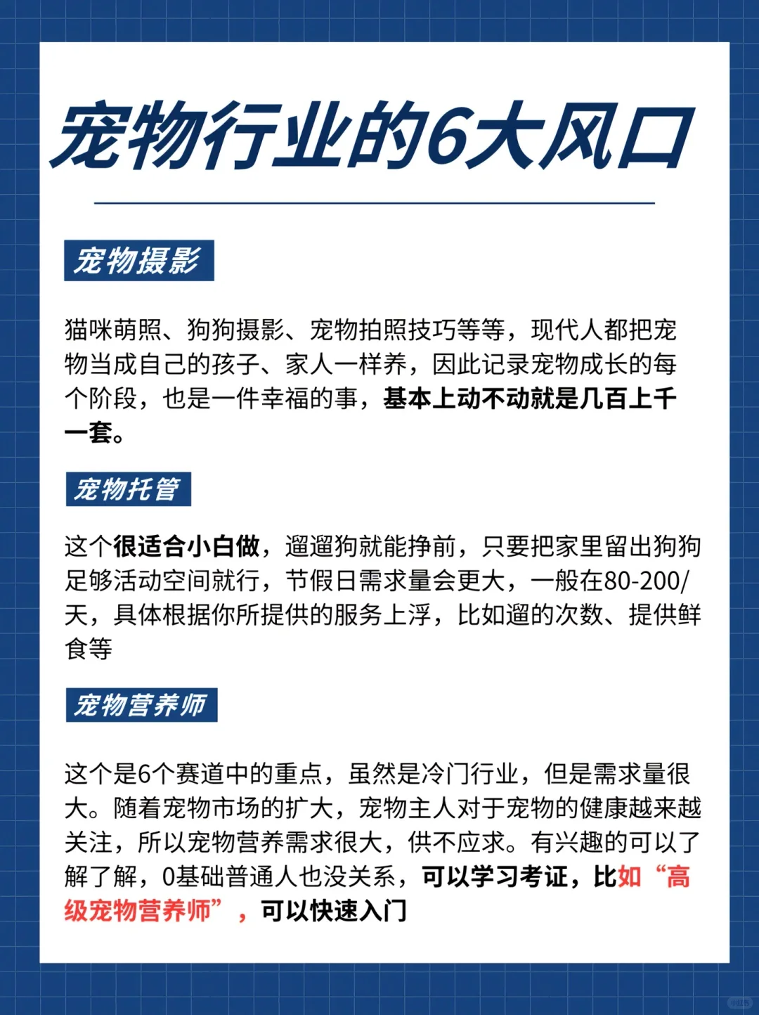 下一个风口“宠物经济”