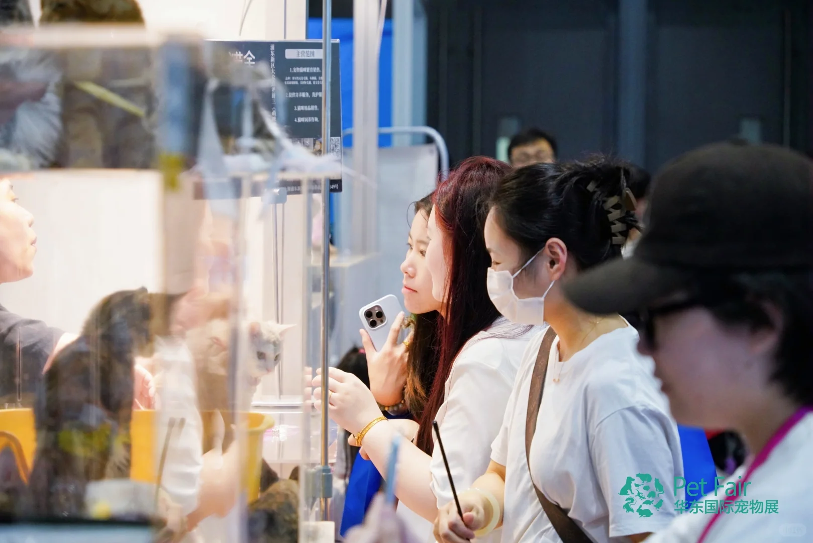 【第6届华东宠物展?带你嗨翻三天】