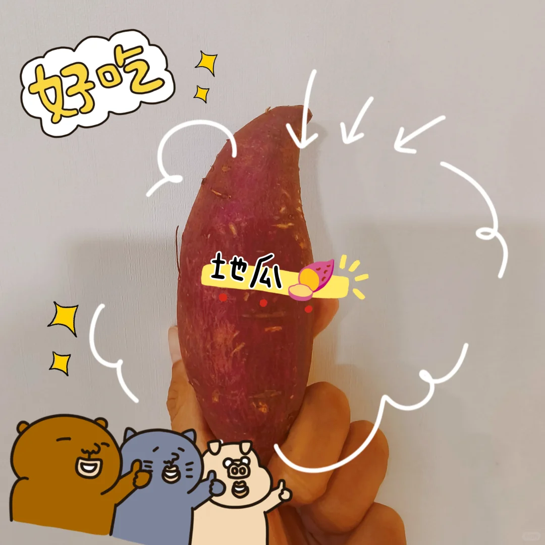 2025厦门秋季素食展冲!50+新品牌试吃到撑
