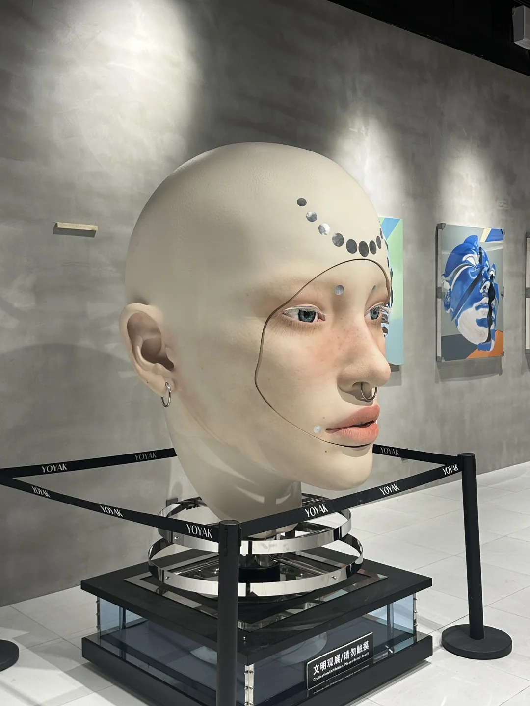 ????? ????巨人展!不在魔都在郑州