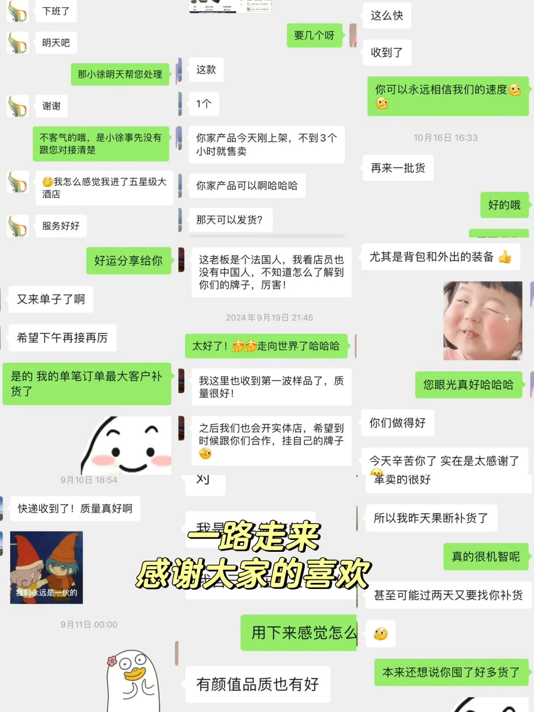 在宠物经济赛道数十年的工厂想说点真心话