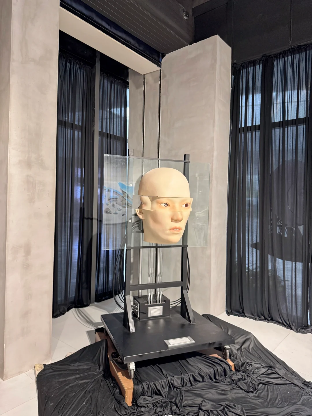 ?YOYAK艺术展|郑州也有科技感巨人展了!