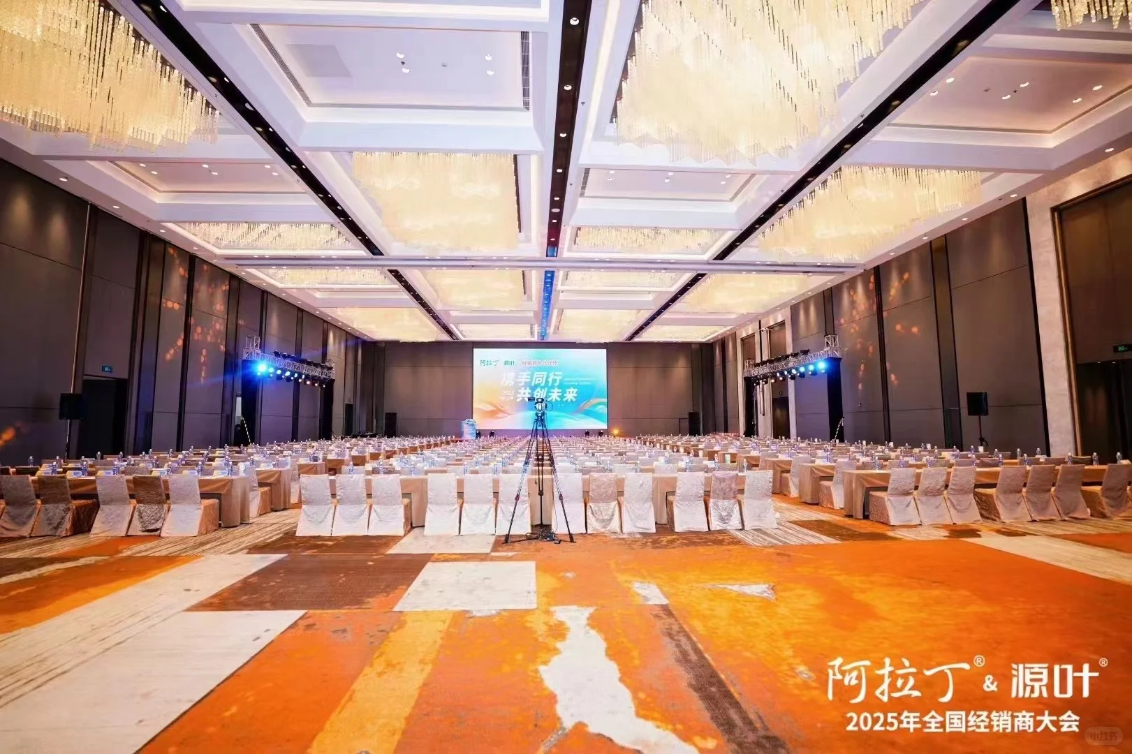 阿拉丁&源叶2025年度经销商大会