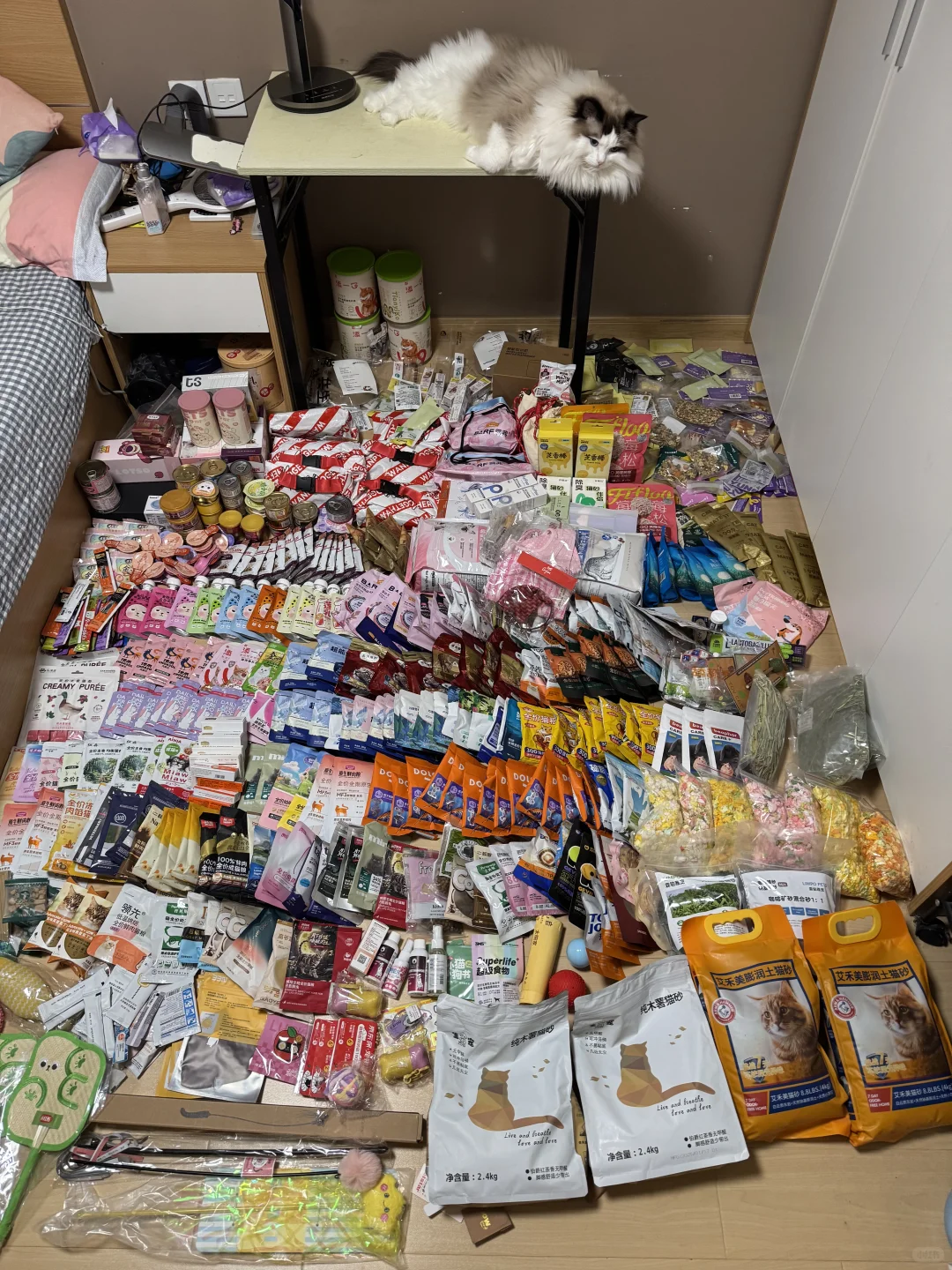 2025亚宠展全图鉴,累死我了!收获不错