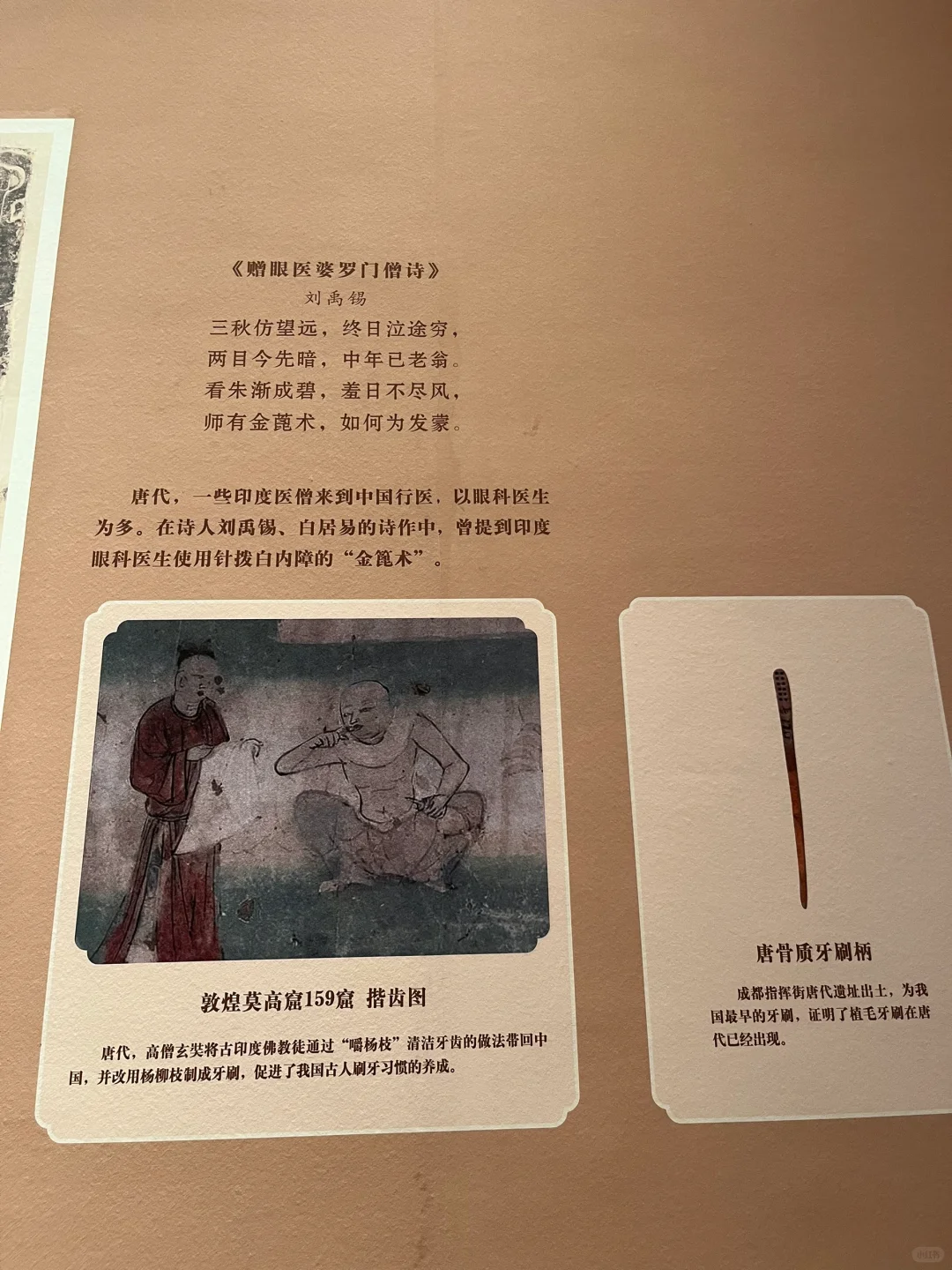 被中药香偷袭的看展体验!?策展人太会了!