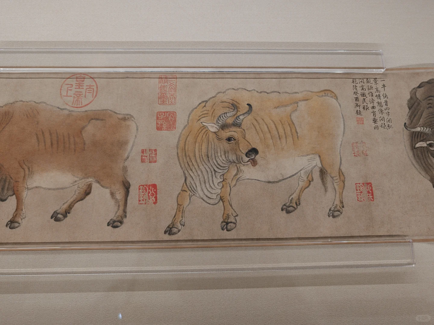 故宫百年大展,利用排队时间预习下展品吧!