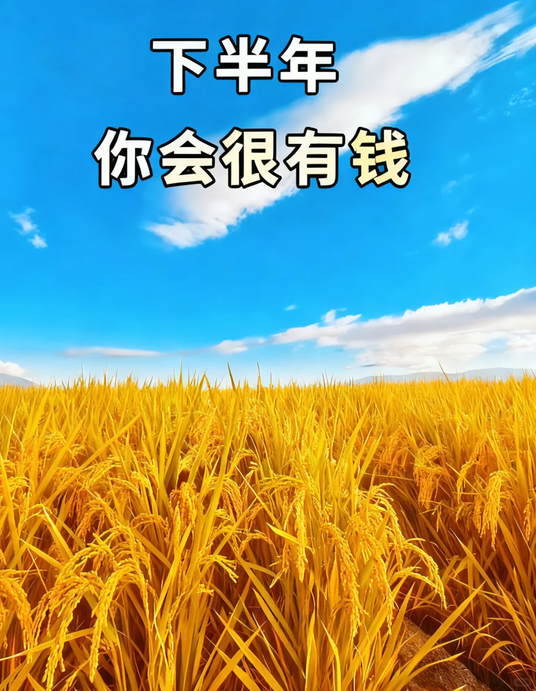 下半年你会很有?