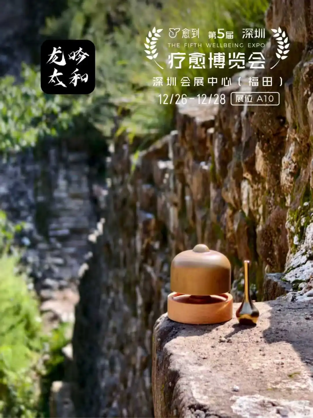 龙吟太和:全球疗愈经济引领者