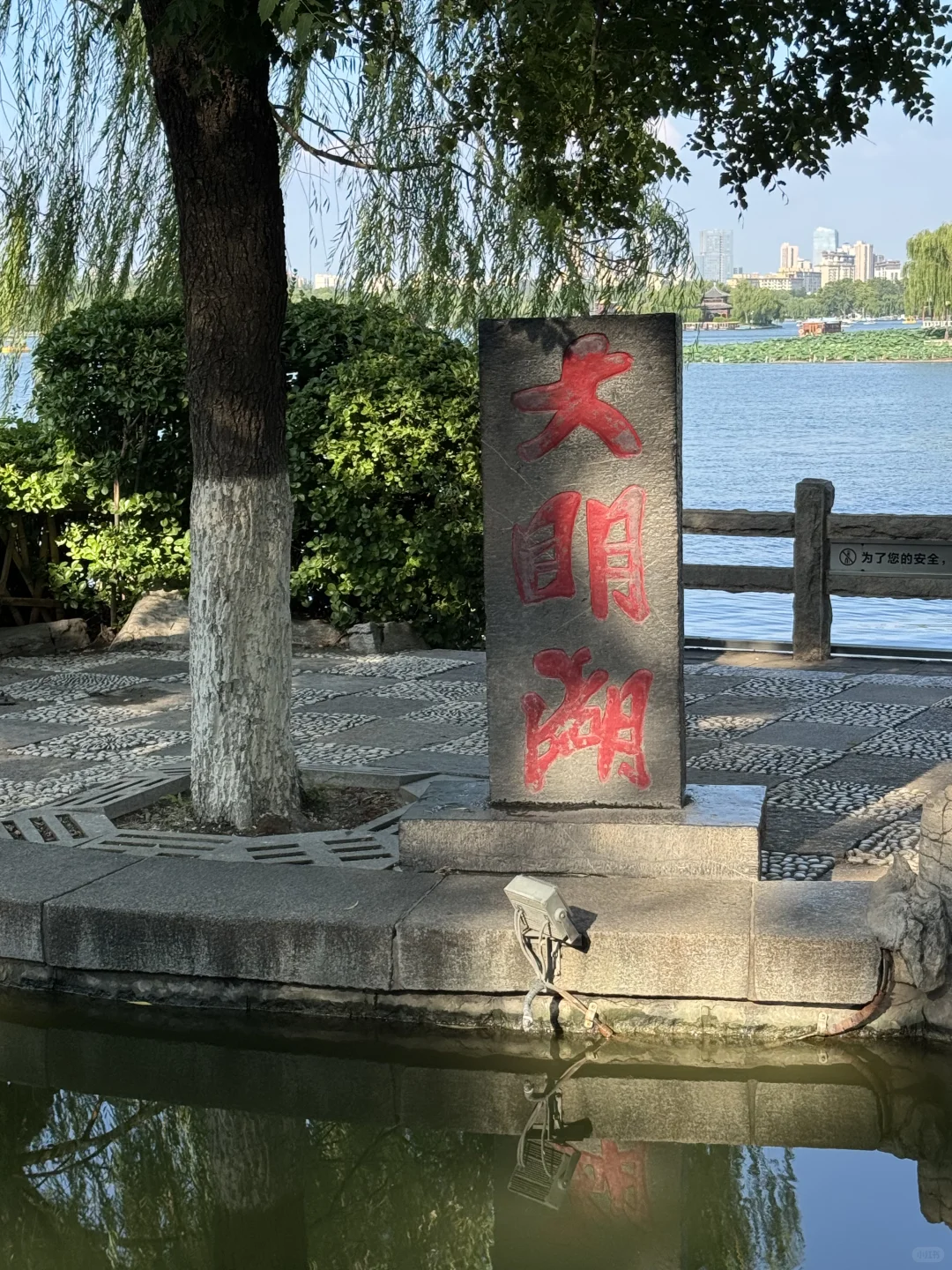 山东中医药大会交流学习