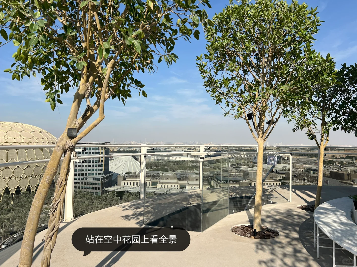 迪拜|世博园EXPO 2020暴走看建