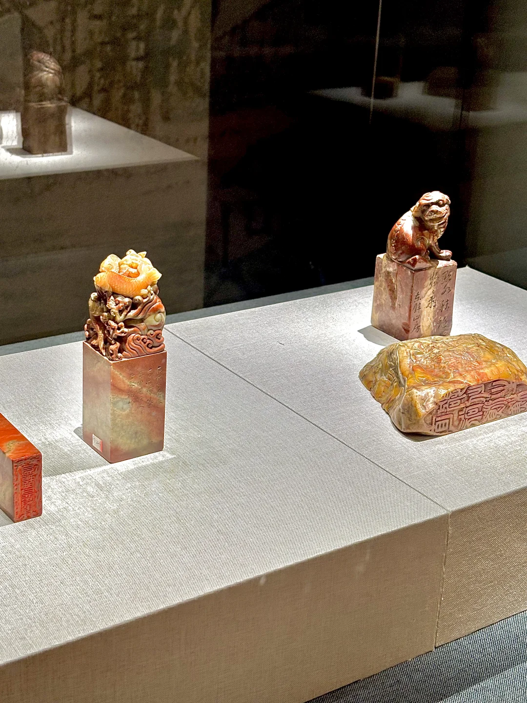 石家庄，从不缺好看的新展！?