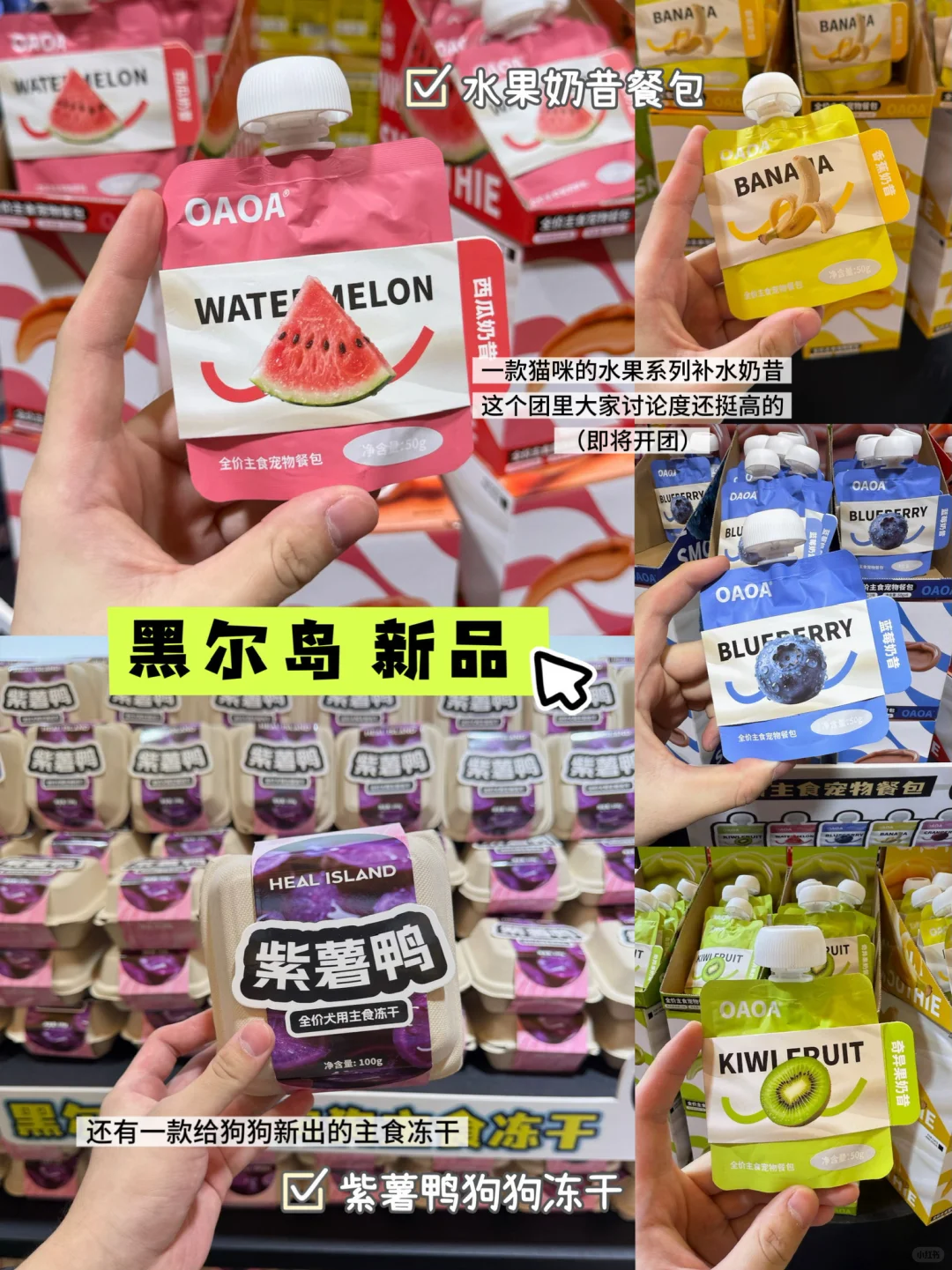 亚宠展新品?宠物团长带你一起逛展呀‼️