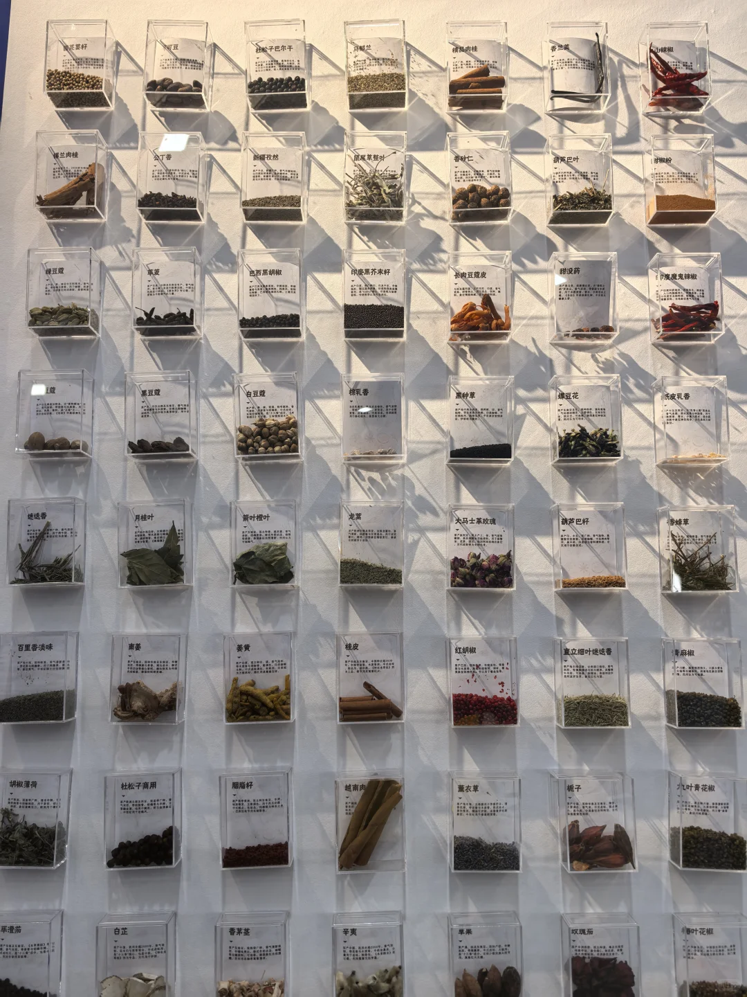 第七届中阿博览会?