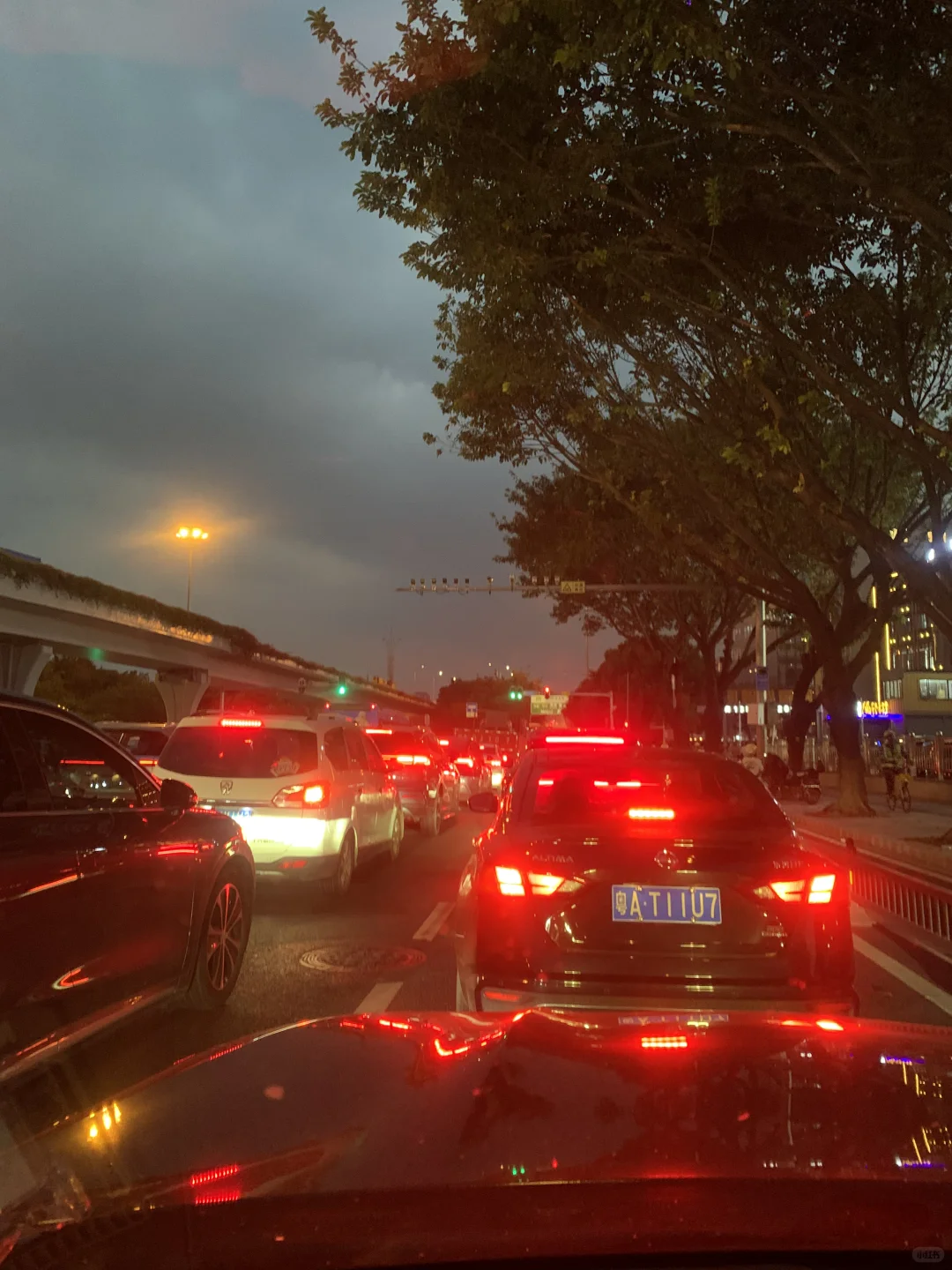 交易会第二天