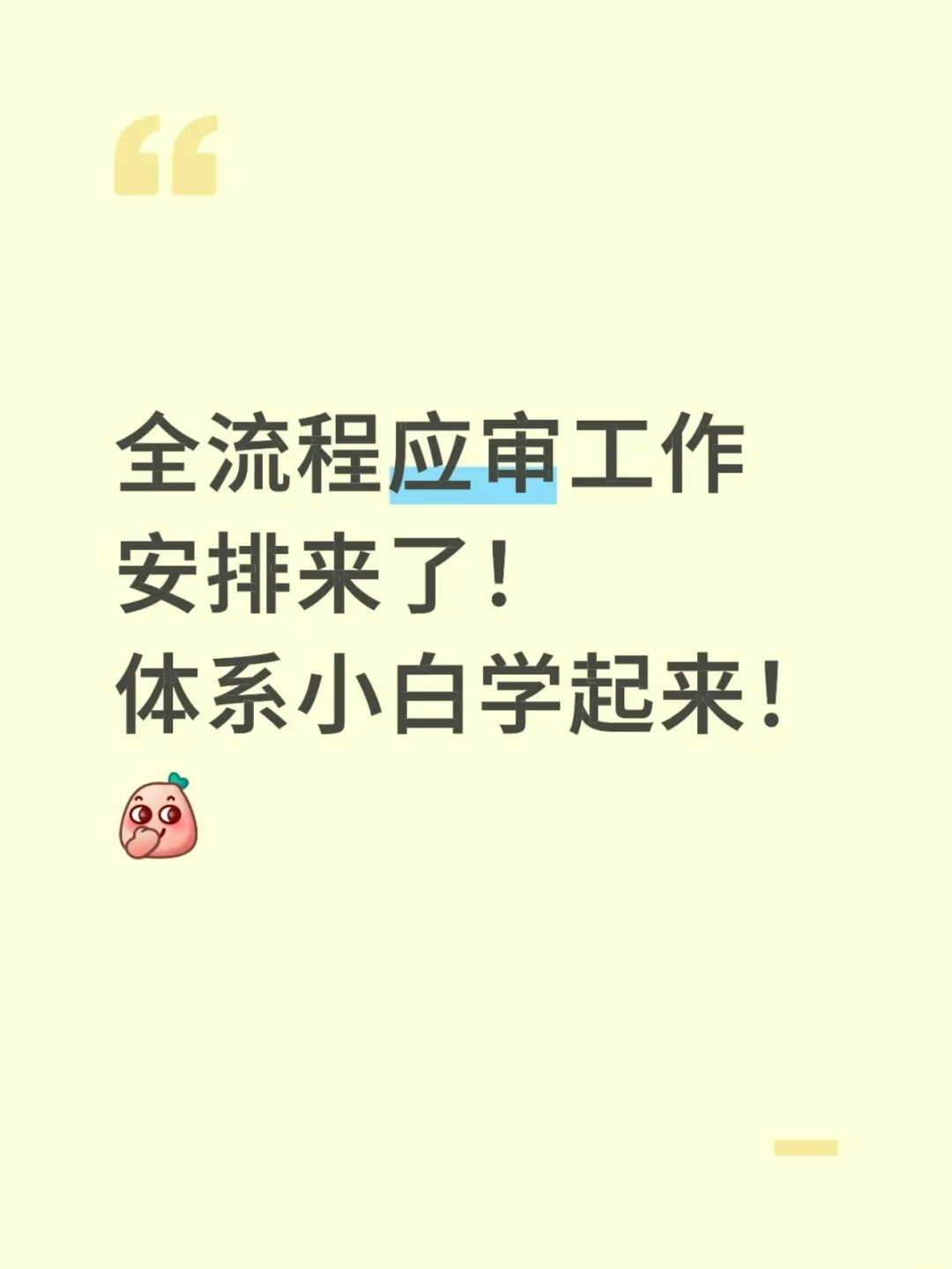 体系工程师应对客户审核
