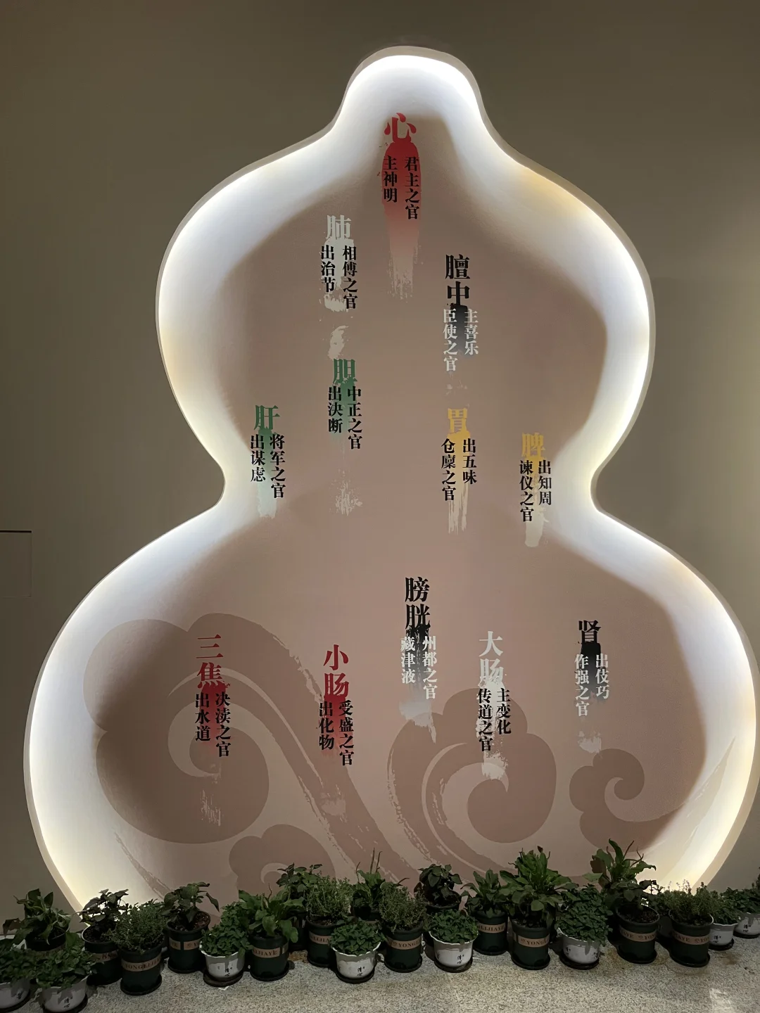 被中药香偷袭的看展体验!?策展人太会了!