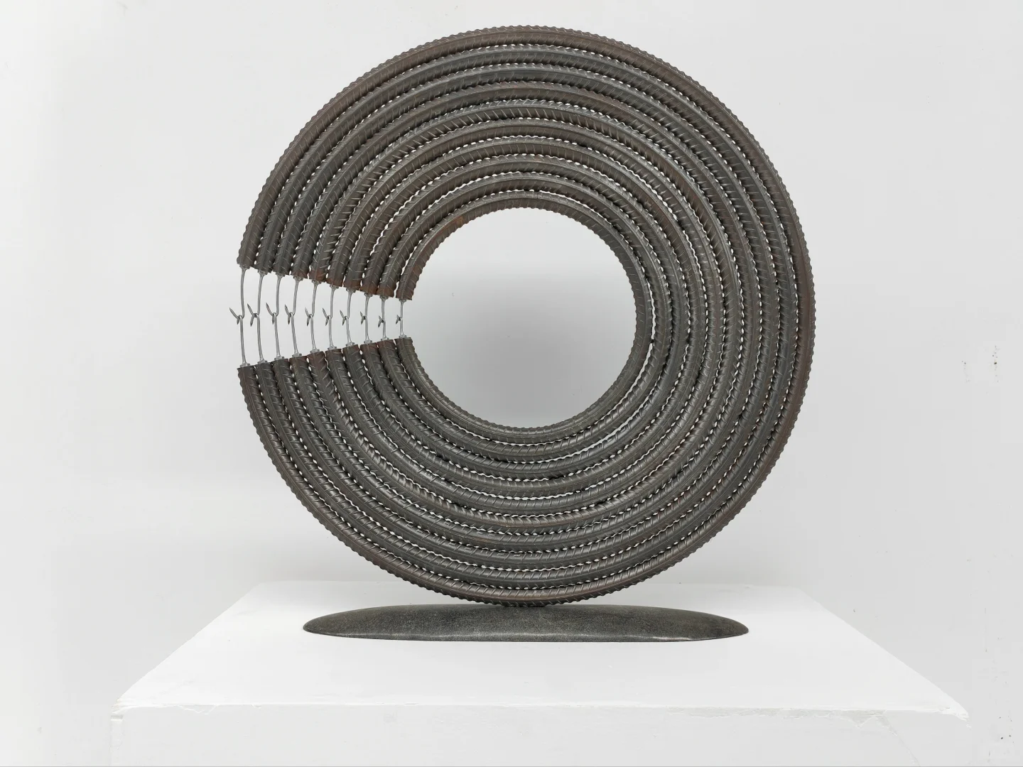 作品《共存的力量》金属螺纹钢 75×10×80cm