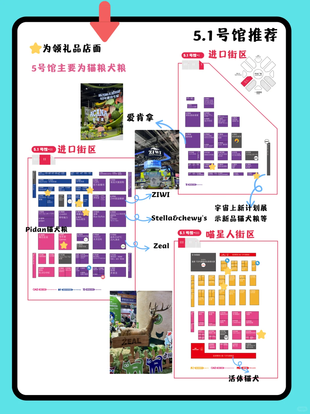 ?2025上海它博会不踩雷攻略!?必逛清