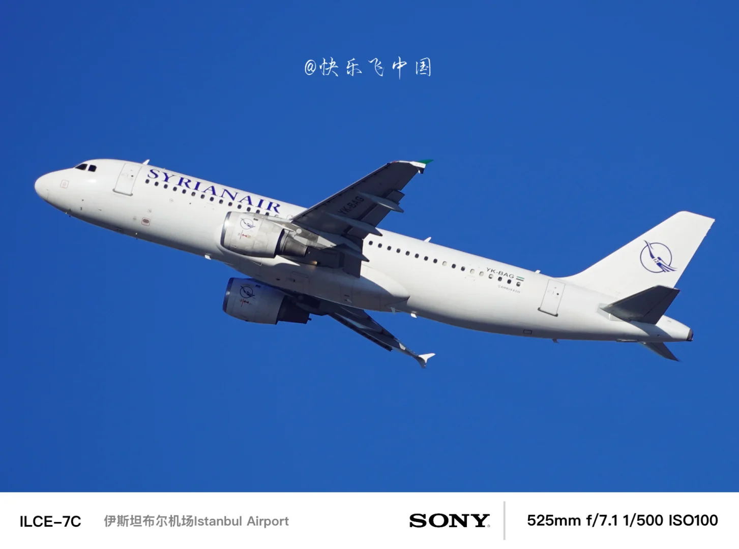 曾被按下暂停键的,叙利亚阿拉伯航空❗️