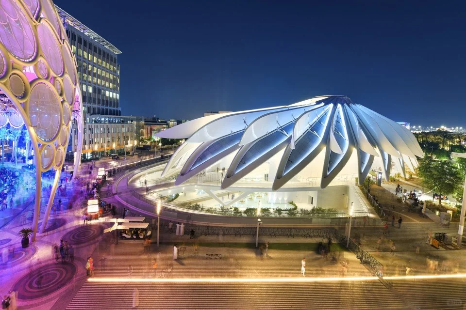 APCS & Mayors’ Forum终于是来了