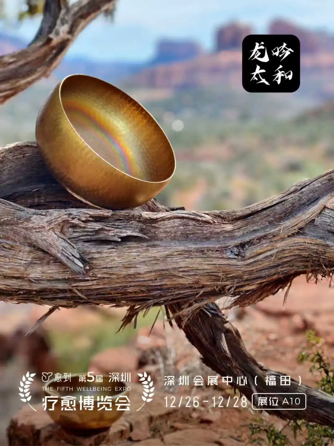 龙吟太和:全球疗愈经济引领者