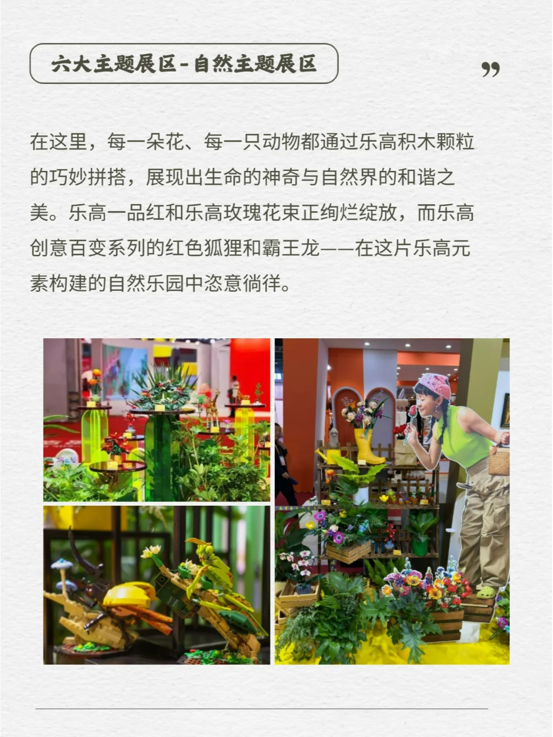 乐高®玩乐世界正式亮相第七届进博会✨