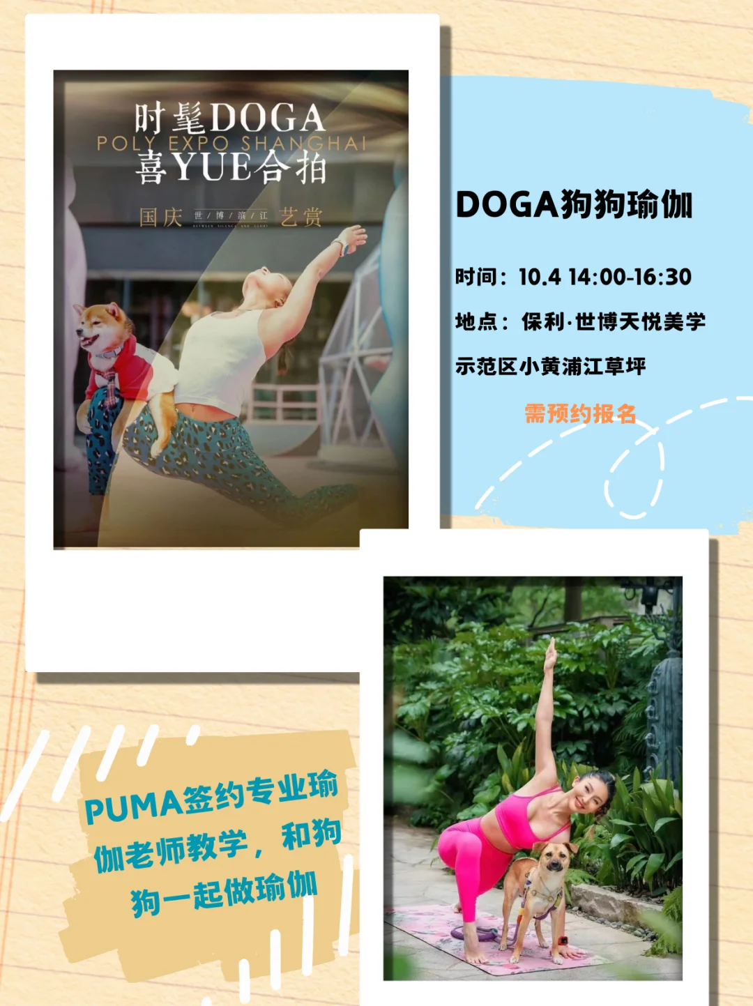 ?上海十月｜宠物主题活动合集??