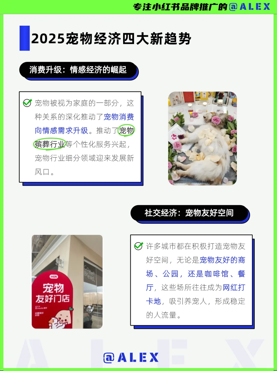 下一个母婴赛道?2025最新万亿市场宠物经济