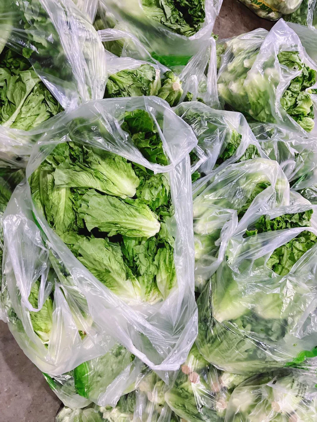 全品类食材供应平台!一站式采购超便捷!